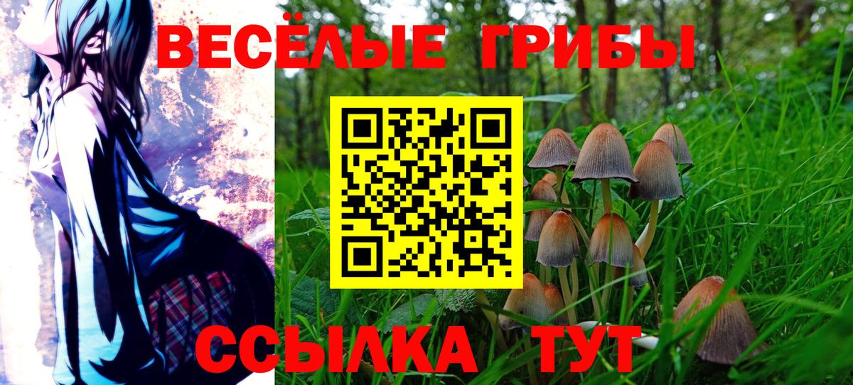 Галлюциногенные грибы Psilocybine cubensis Энгельс