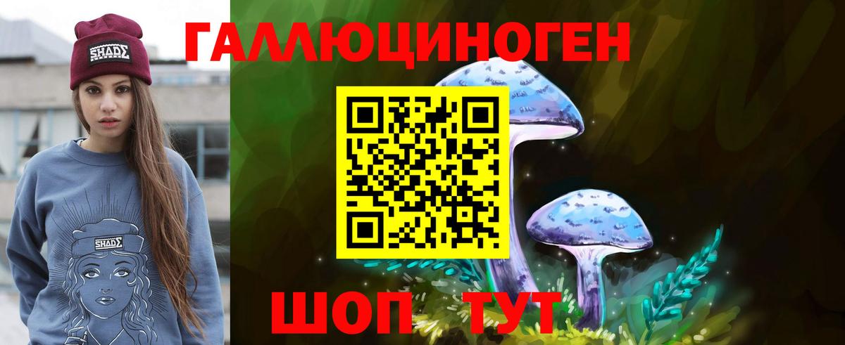 Псилоцибиновые грибы Cubensis  Вход с VPN  Энгельс 